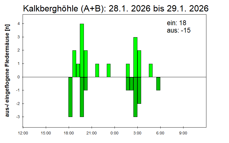 [Fledermaus] Lichtschranke: Segeberger Kalkberg (NABU Schleswig-Holstein)
