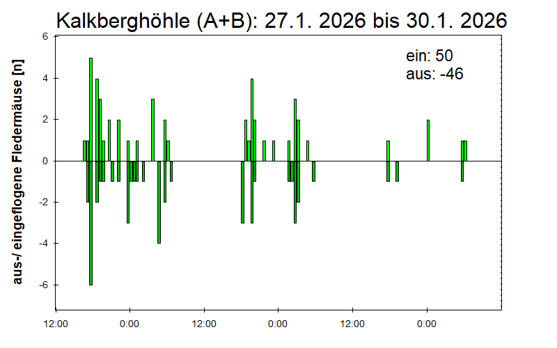 [Fledermaus] Lichtschranke: Segeberger Kalkberg (NABU Schleswig-Holstein)