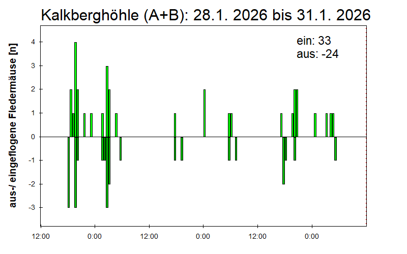 [Fledermaus] Lichtschranke: Segeberger Kalkberg (NABU Schleswig-Holstein)