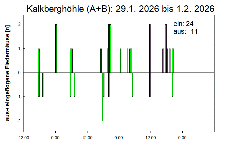 [Fledermaus] Lichtschranke: Segeberger Kalkberg (NABU Schleswig-Holstein)