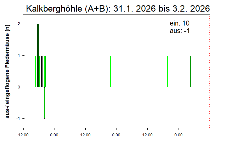 [Fledermaus] Lichtschranke: Segeberger Kalkberg (NABU Schleswig-Holstein)