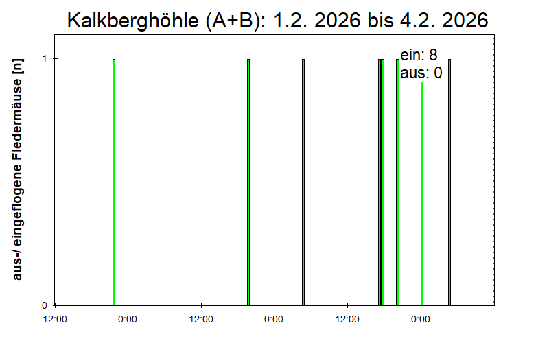 [Fledermaus] Lichtschranke: Segeberger Kalkberg (NABU Schleswig-Holstein)
