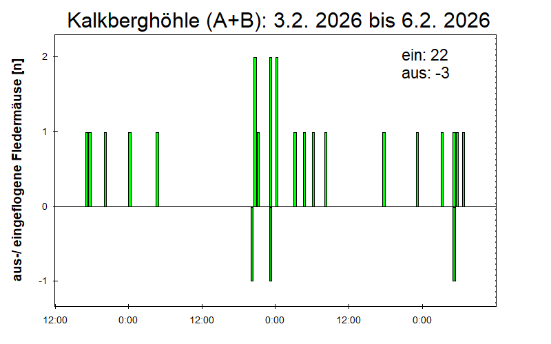 [Fledermaus] Lichtschranke: Segeberger Kalkberg (NABU Schleswig-Holstein)