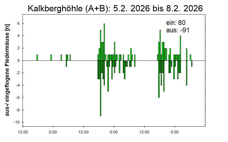 [Fledermaus] Lichtschranke: Segeberger Kalkberg (NABU Schleswig-Holstein)