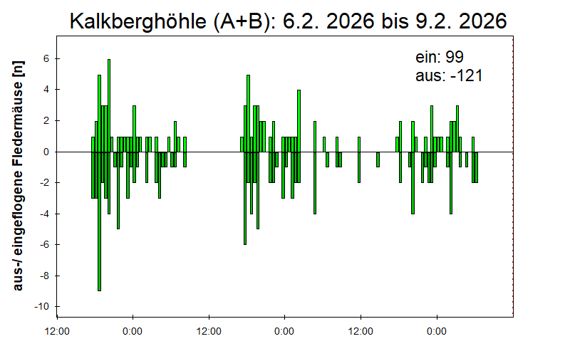 [Fledermaus] Lichtschranke: Segeberger Kalkberg (NABU Schleswig-Holstein)