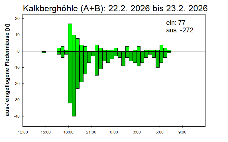 [Fledermaus] Lichtschranke: Segeberger Kalkberg (NABU Schleswig-Holstein)