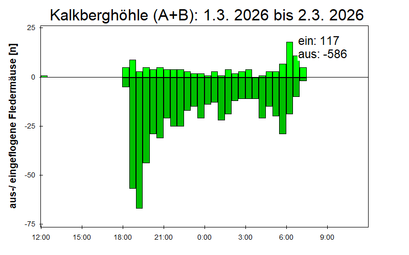 [Fledermaus] Lichtschranke: Segeberger Kalkberg (NABU Schleswig-Holstein)