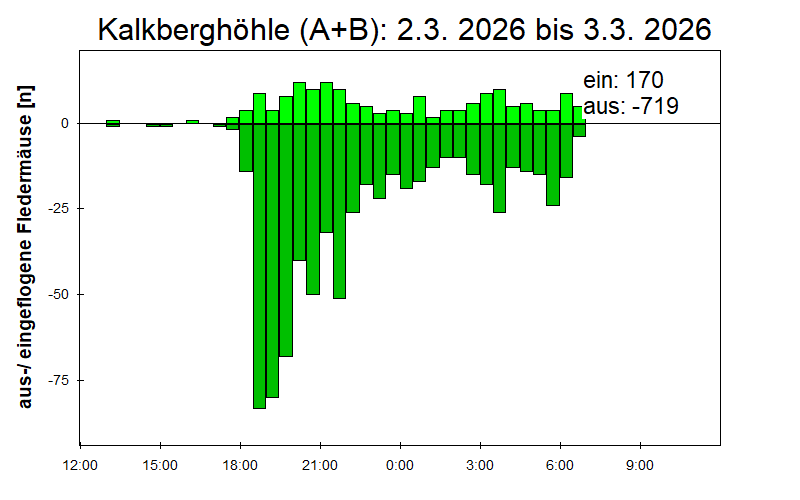 [Fledermaus] Lichtschranke: Segeberger Kalkberg (NABU Schleswig-Holstein)