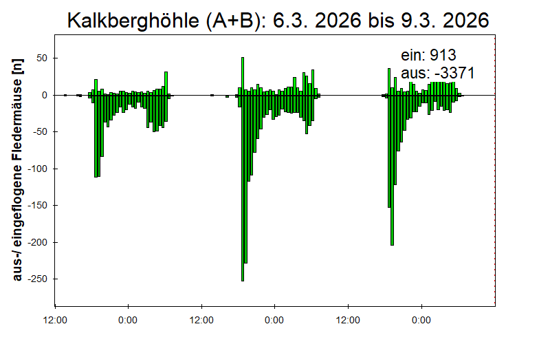 [Fledermaus] Lichtschranke: Segeberger Kalkberg (NABU Schleswig-Holstein)