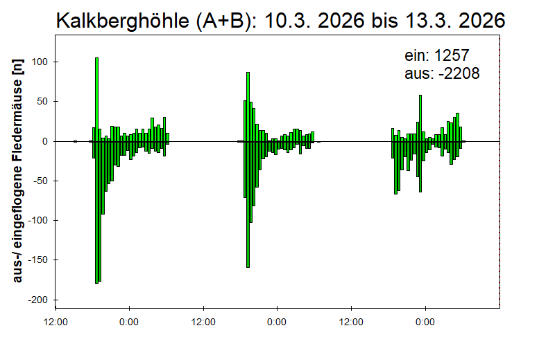 [Fledermaus] Lichtschranke: Segeberger Kalkberg (NABU Schleswig-Holstein)