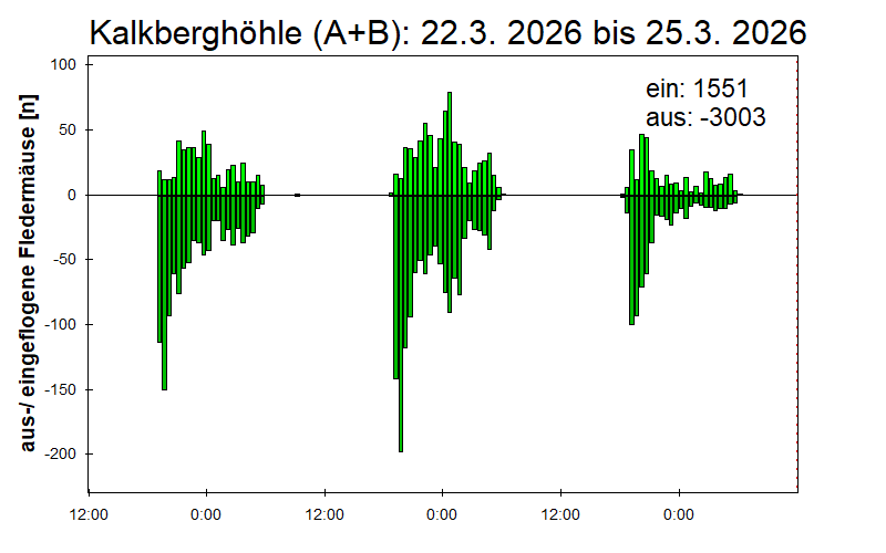 [Fledermaus] Lichtschranke: Segeberger Kalkberg (NABU Schleswig-Holstein)