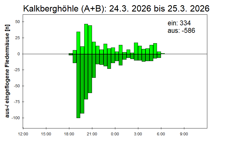 [Fledermaus] Lichtschranke: Segeberger Kalkberg (NABU Schleswig-Holstein)
