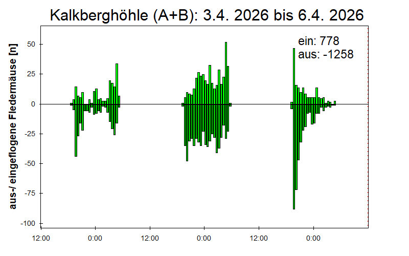 [Fledermaus] Lichtschranke: Segeberger Kalkberg (NABU Schleswig-Holstein)