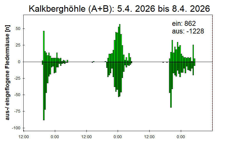 [Fledermaus] Lichtschranke: Segeberger Kalkberg (NABU Schleswig-Holstein)