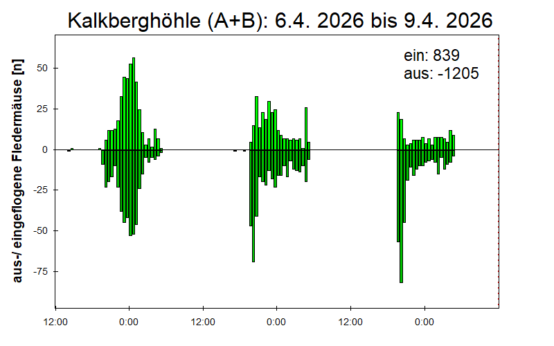 [Fledermaus] Lichtschranke: Segeberger Kalkberg (NABU Schleswig-Holstein)
