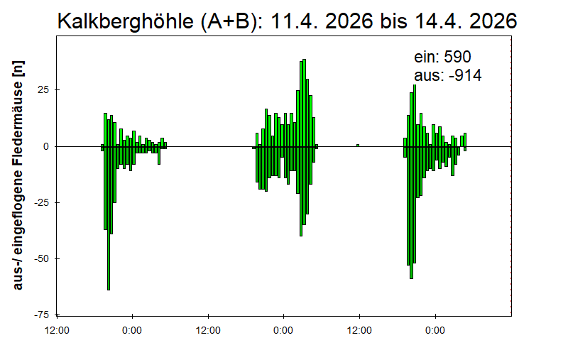 [Fledermaus] Lichtschranke: Segeberger Kalkberg (NABU Schleswig-Holstein)