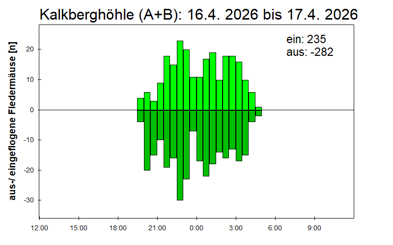 [Fledermaus] Lichtschranke: Segeberger Kalkberg (NABU Schleswig-Holstein)