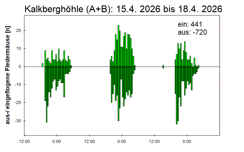 [Fledermaus] Lichtschranke: Segeberger Kalkberg (NABU Schleswig-Holstein)
