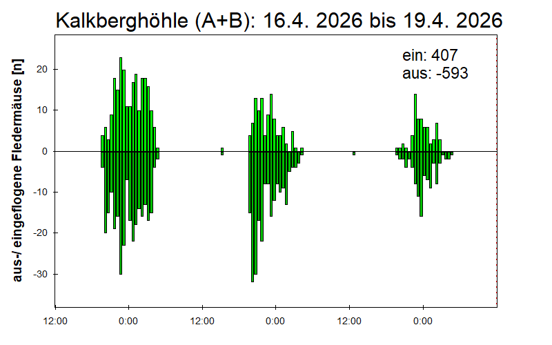 [Fledermaus] Lichtschranke: Segeberger Kalkberg (NABU Schleswig-Holstein)
