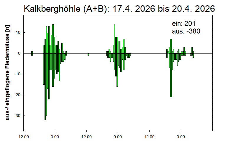 [Fledermaus] Lichtschranke: Segeberger Kalkberg (NABU Schleswig-Holstein)