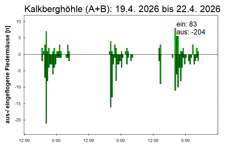 [Fledermaus] Lichtschranke: Segeberger Kalkberg (NABU Schleswig-Holstein)