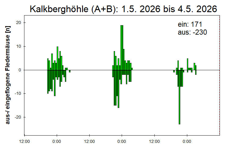 [Fledermaus] Lichtschranke: Segeberger Kalkberg (NABU Schleswig-Holstein)