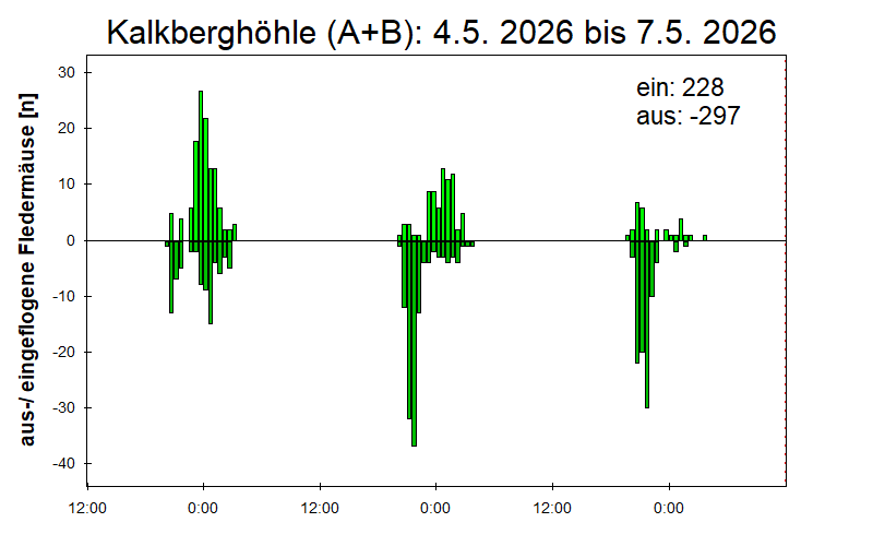 [Fledermaus] Lichtschranke: Segeberger Kalkberg (NABU Schleswig-Holstein)
