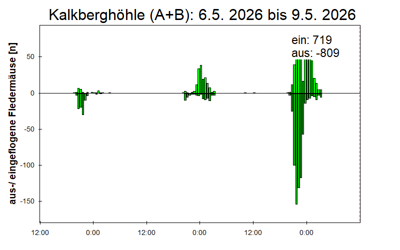 [Fledermaus] Lichtschranke: Segeberger Kalkberg (NABU Schleswig-Holstein)