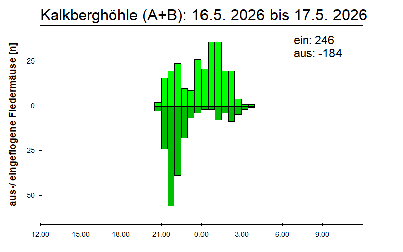 [Fledermaus] Lichtschranke: Segeberger Kalkberg (NABU Schleswig-Holstein)