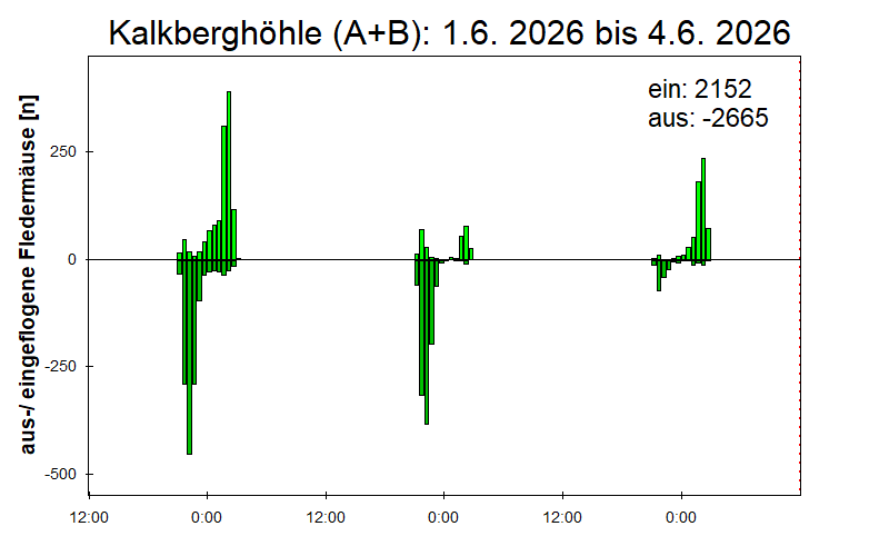 [Fledermaus] Lichtschranke: Segeberger Kalkberg (NABU Schleswig-Holstein)