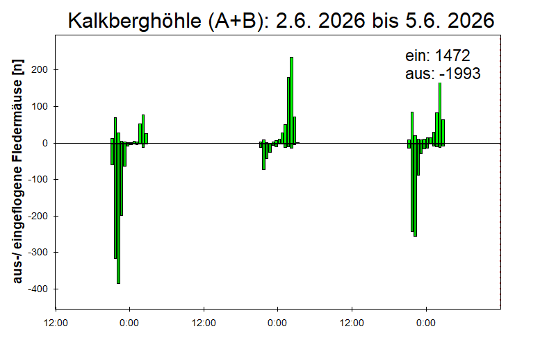 [Fledermaus] Lichtschranke: Segeberger Kalkberg (NABU Schleswig-Holstein)