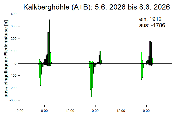 [Fledermaus] Lichtschranke: Segeberger Kalkberg (NABU Schleswig-Holstein)