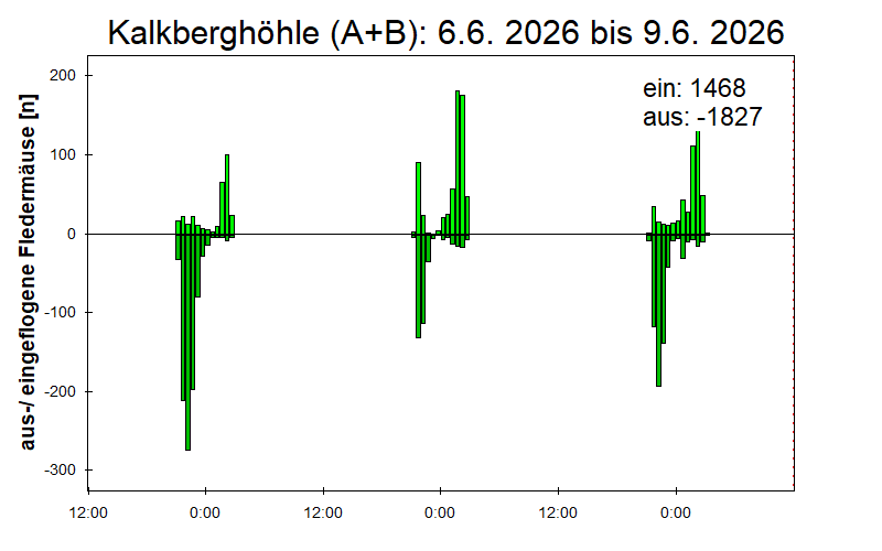 [Fledermaus] Lichtschranke: Segeberger Kalkberg (NABU Schleswig-Holstein)