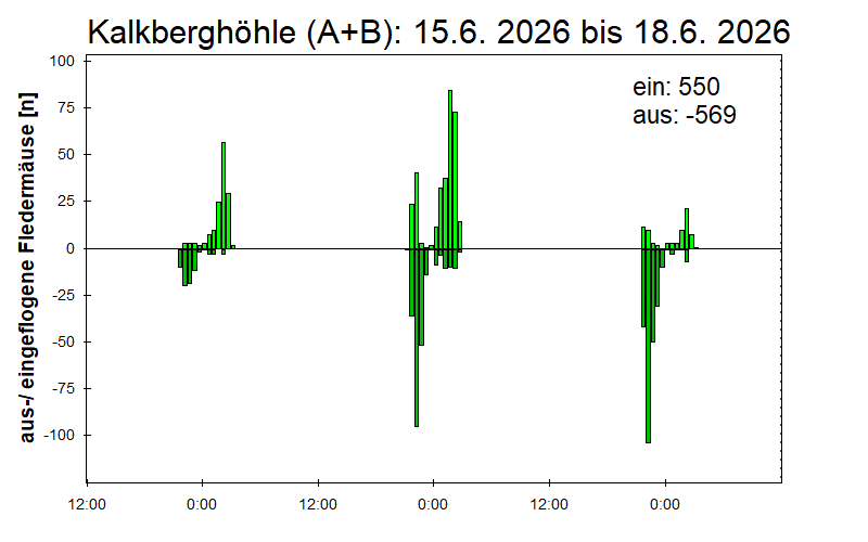 [Fledermaus] Lichtschranke: Segeberger Kalkberg (NABU Schleswig-Holstein)