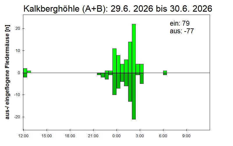 [Fledermaus] Lichtschranke: Segeberger Kalkberg (NABU Schleswig-Holstein)