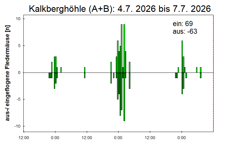 [Fledermaus] Lichtschranke: Segeberger Kalkberg (NABU Schleswig-Holstein)