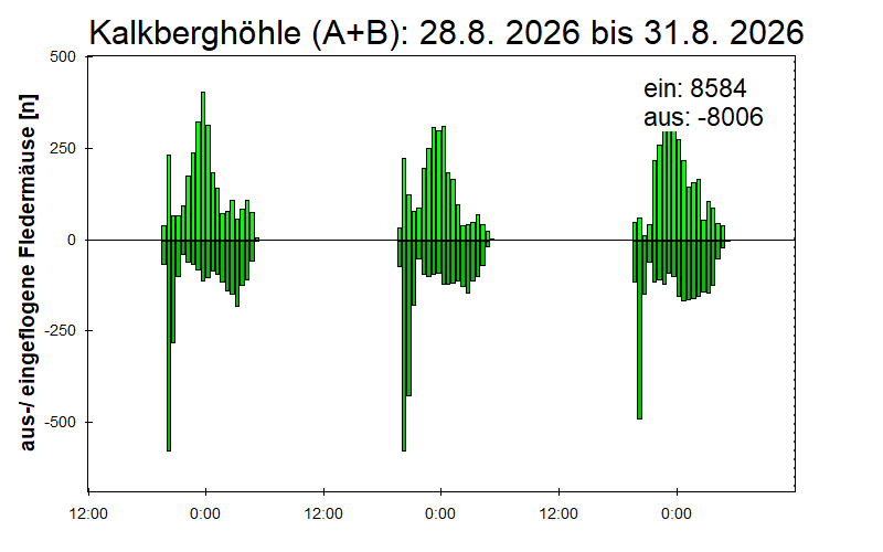 [Fledermaus] Lichtschranke: Segeberger Kalkberg (NABU Schleswig-Holstein)