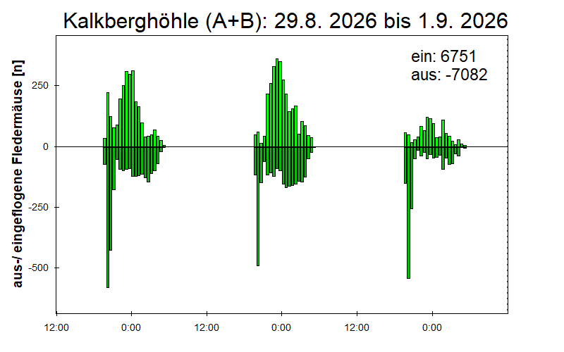 [Fledermaus] Lichtschranke: Segeberger Kalkberg (NABU Schleswig-Holstein)