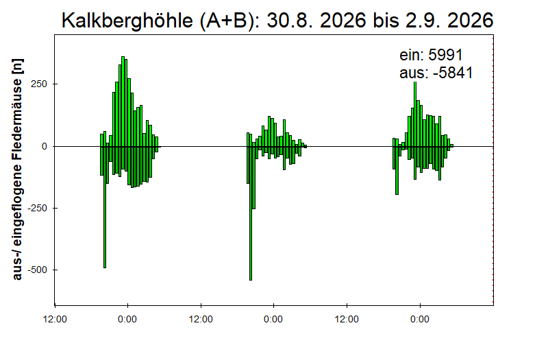 [Fledermaus] Lichtschranke: Segeberger Kalkberg (NABU Schleswig-Holstein)