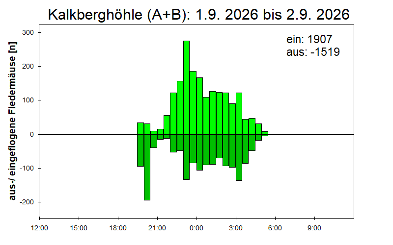 [Fledermaus] Lichtschranke: Segeberger Kalkberg (NABU Schleswig-Holstein)