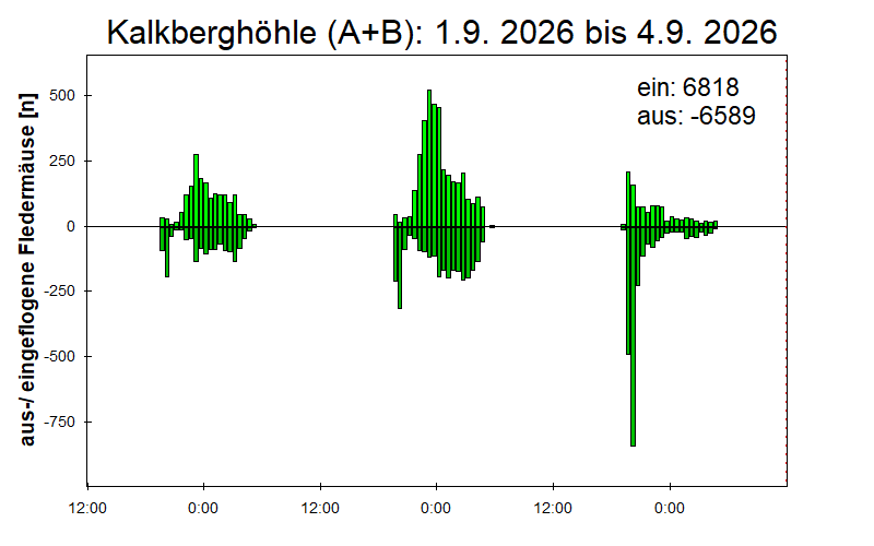 [Fledermaus] Lichtschranke: Segeberger Kalkberg (NABU Schleswig-Holstein)