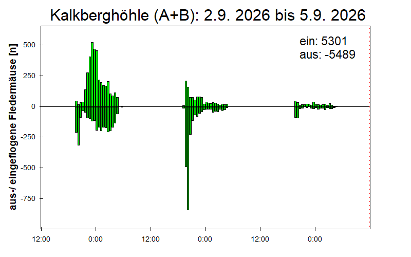 [Fledermaus] Lichtschranke: Segeberger Kalkberg (NABU Schleswig-Holstein)