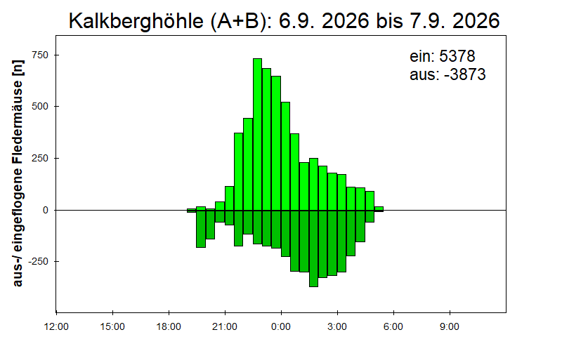 [Fledermaus] Lichtschranke: Segeberger Kalkberg (NABU Schleswig-Holstein)
