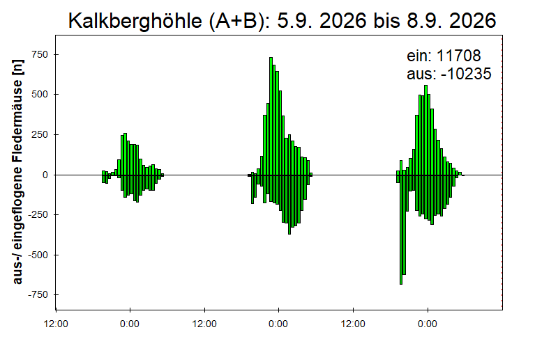 [Fledermaus] Lichtschranke: Segeberger Kalkberg (NABU Schleswig-Holstein)