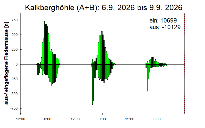 [Fledermaus] Lichtschranke: Segeberger Kalkberg (NABU Schleswig-Holstein)