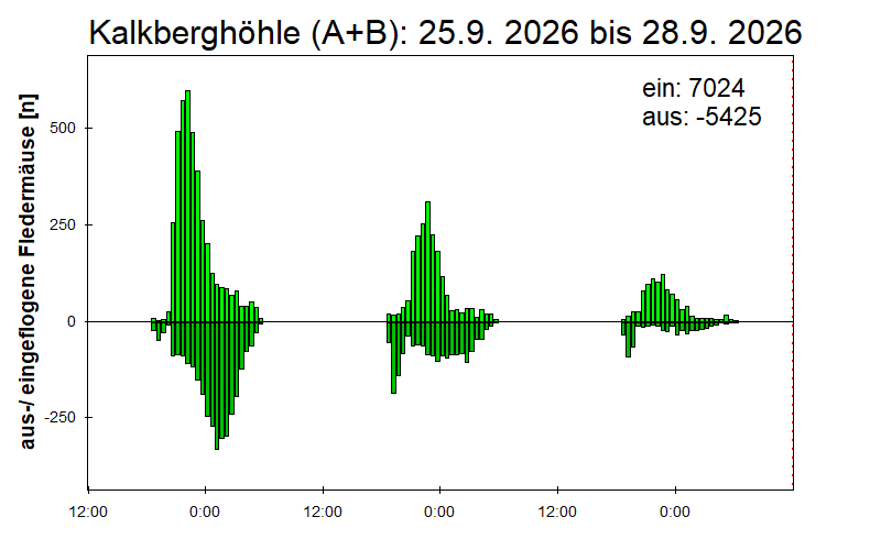 [Fledermaus] Lichtschranke: Segeberger Kalkberg (NABU Schleswig-Holstein)