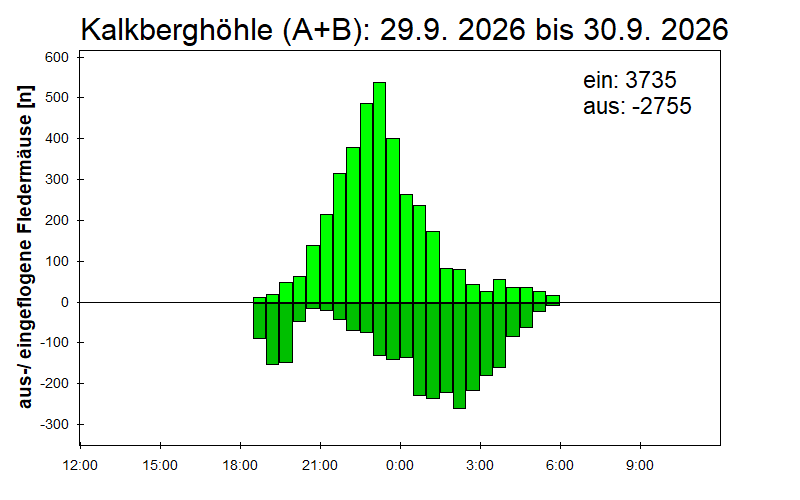 [Fledermaus] Lichtschranke: Segeberger Kalkberg (NABU Schleswig-Holstein)