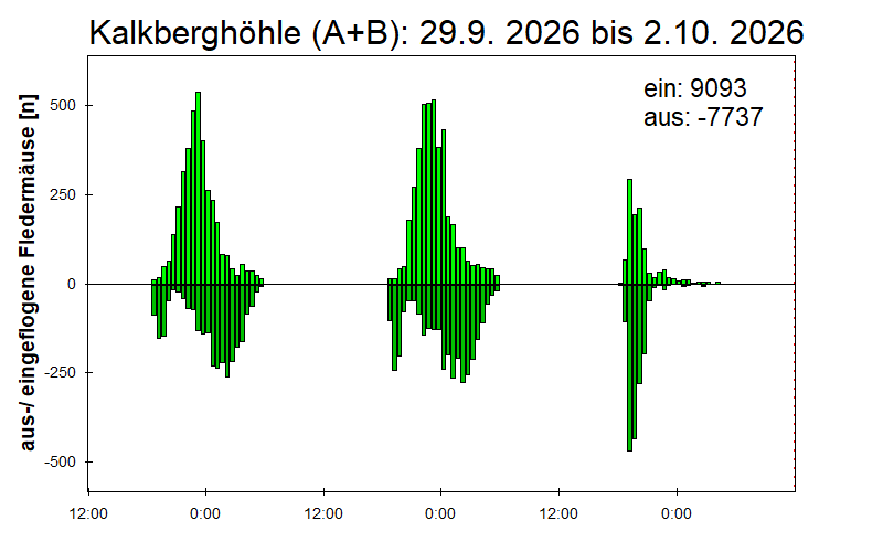 [Fledermaus] Lichtschranke: Segeberger Kalkberg (NABU Schleswig-Holstein)