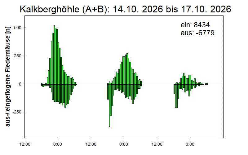 [Fledermaus] Lichtschranke: Segeberger Kalkberg (NABU Schleswig-Holstein)
