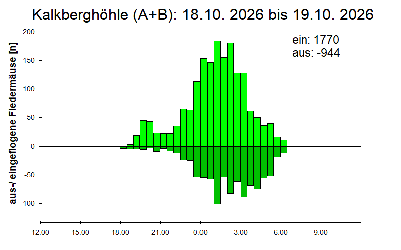 [Fledermaus] Lichtschranke: Segeberger Kalkberg (NABU Schleswig-Holstein)